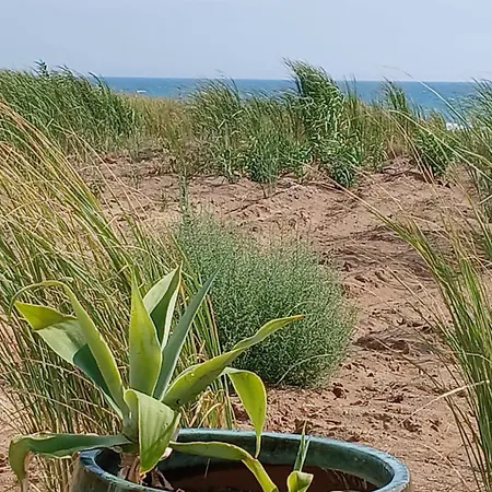 Fin Fiori * Menfi