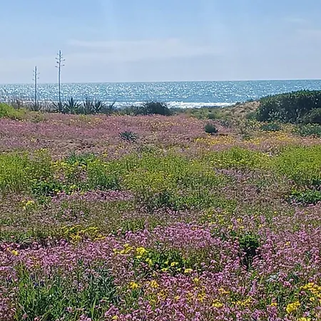 Fin Fiori Menfi